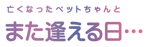 亡くなったペットちゃんとまた逢える日…